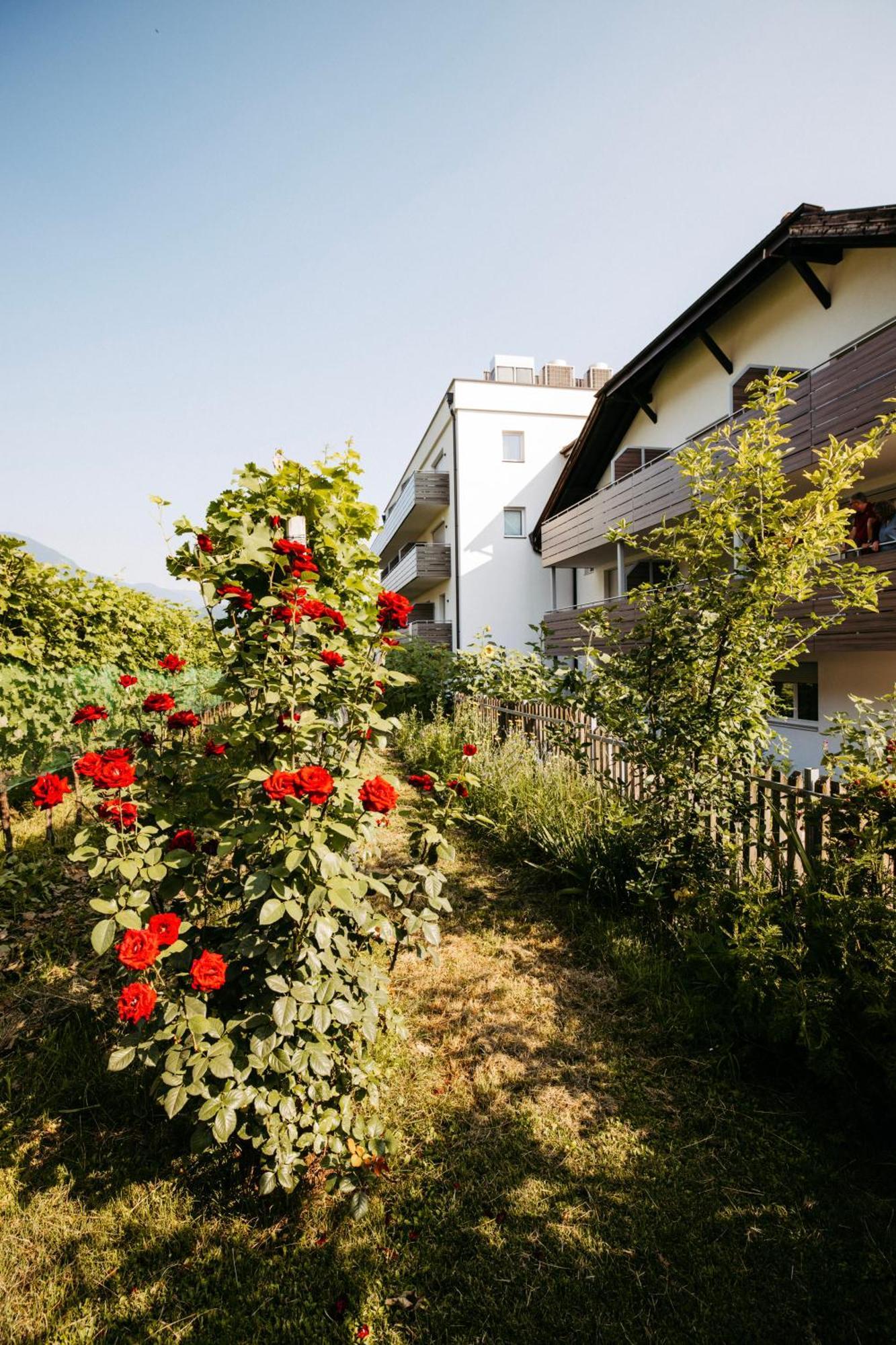 Hotel Gantkofel Andrian Exterior photo